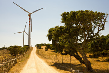 Pale Eoliche Energie Alternativa