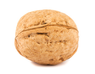 Single walnut