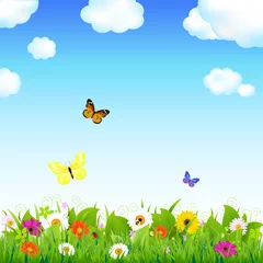 Foto auf Acrylglas Blumenwiese mit Schmetterlingen © iadams