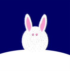 Snow rabbit