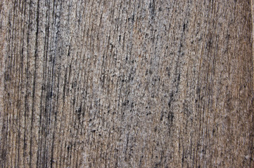 wooden wall