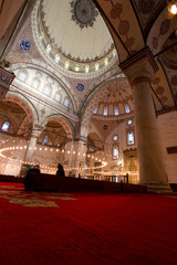 Inside Istanbul Mosque showing massive columns in vertical posit
