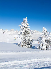 Winter in alps