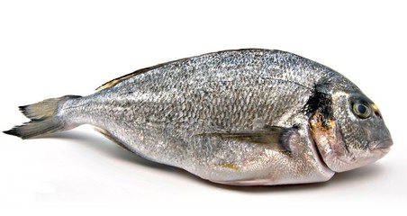 Pescado fresco