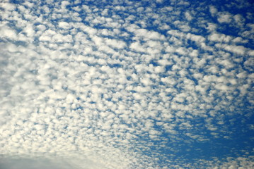 Fototapeta premium Cloudy sky