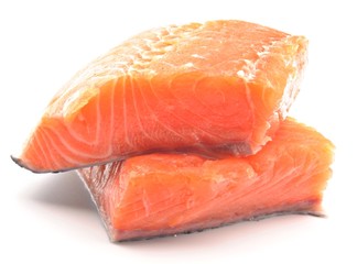 Salmon
