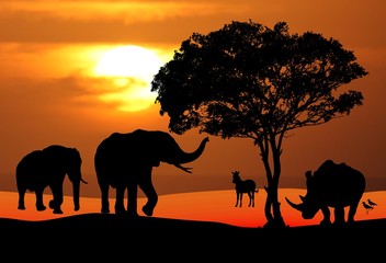 Obraz na płótnie Canvas African Wildlife Scena Zachód