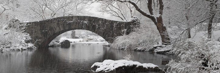 During snow storm in Central Park, New York city