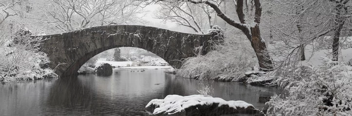 Papier Peint photo Pont de Gapstow During snow storm in Central Park, New York city