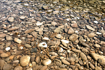 Rocks in a shallow pond