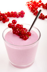 red fruit pudding with red currants