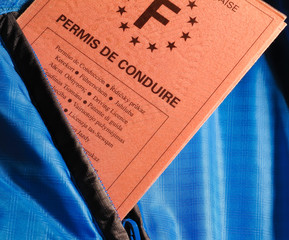 permis,conduite,points,annulation,examen,obtention,rose