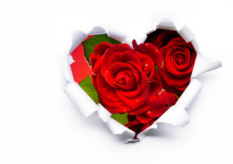 Art bouquet of red roses and the paper hearts on Valentine's Day - obrazy, fototapety, plakaty