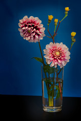Fototapeta premium A bouquet of summer flowers in a glass on the dark blue backgrou