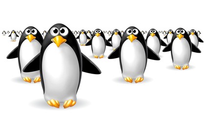 mare di pinguini - obrazy, fototapety, plakaty