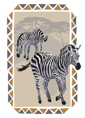 Zebras on Savannah