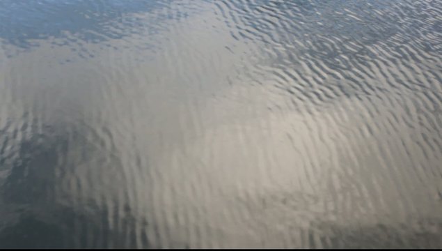 reflet- zen