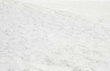 Snowy slope with grass