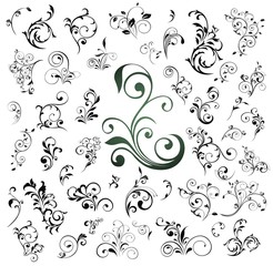 Big set of floral elements