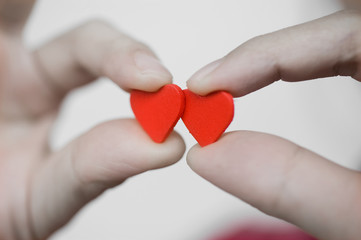 heart in the hands