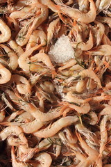 Fresh shrimp on ice at the fishmongers