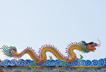 Obraz premium golden Chinese Dragon on roof with blue sky background.