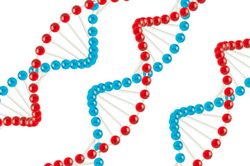 DNA structure