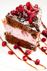 Tasty fancy cake with pomegranate