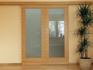 Sliding wooden door with dracena plant