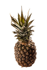 pineapple on white