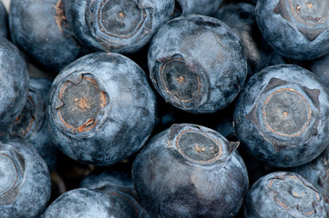 Large blueberries background
