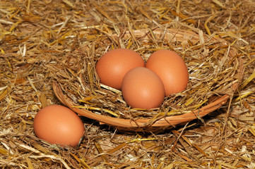 Eier im Stroh
