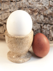 cocotier oeufs blanc et brun