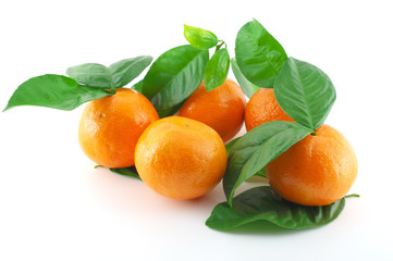 Ripe fresh mandarines with green leaves