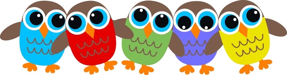 owl header