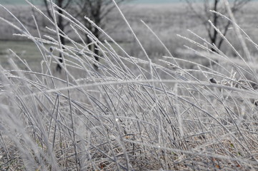 temps de glace 18