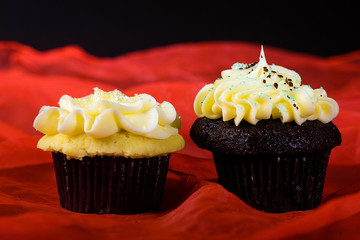 Delicious, beautiful cupcake for dessert