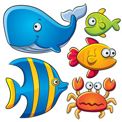 Fototapeta premium Sea Fish Collection
