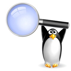 pinguino lente 4 © Piumadaquila.it