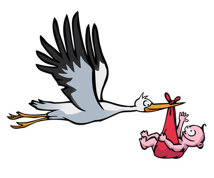 Flying stork with baby