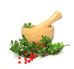 Ñowberry, mortar and pestle isolated - alternative medicine and