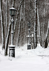 Дорожка и фонари в зимнем парке