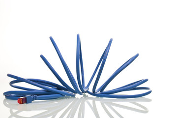 Netzwerkkabel in blau 
