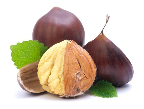 Esskastanien