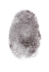 Fingerprint isolated on white