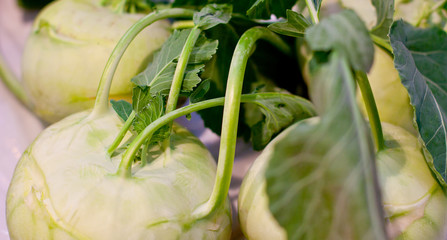kohlrabi