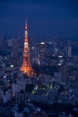 Obraz premium tokyo tower
