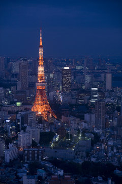 Fototapeta tokyo tower