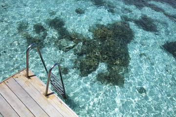 scale on blue lagoon