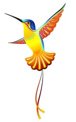 Colibri-Hummingbird-Vector